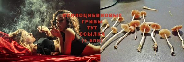 скорость Заволжск